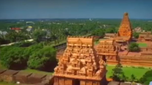 தஞ்சாவூர் அரசு மருத்துவமனை பிடிபட்ட 10 பாம்புகள் 