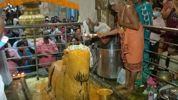 Poojas held in Saneeshwarar Temple in Thirunallar 