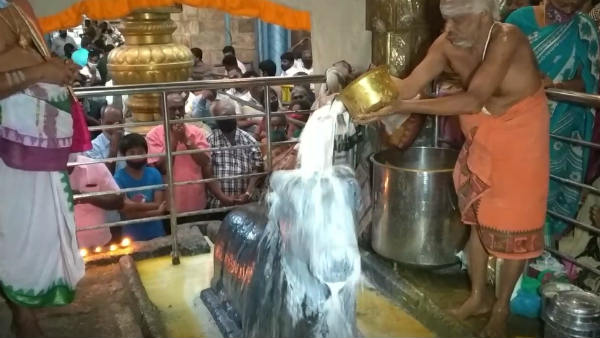 Poojas held in Saneeshwarar Temple in Thirunallar 