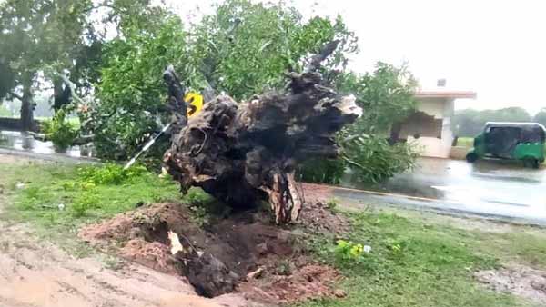 2 died of electrocution in Enjampakkam near Kanchipuram 2 died of electrocution in Enjampakkam near Kanchipuram