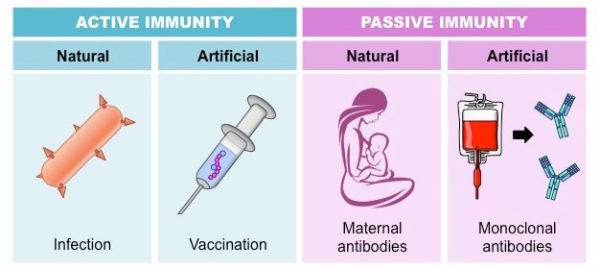  Dr Muthu Chellakumar says that Covid 19 vaccine cannot be avoided