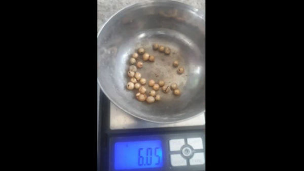 கருவூல பெட்டகம் 