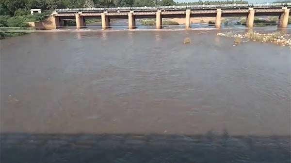 தரைப்பாலங்கள் 