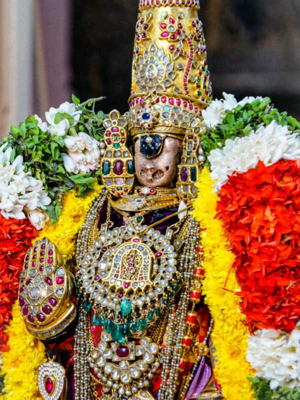 நம்பெருமாளின் தரிசனம் நம்பெருமாளின் தரிசனம்