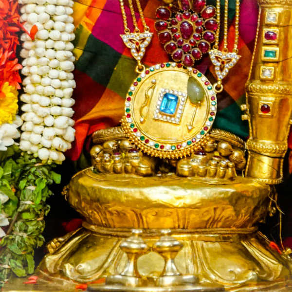 லட்சக்கணக்கான பக்தர்கள் தரிசனம் 