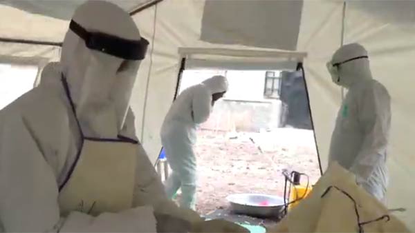 நாய், குதிரைகள் நாய், குதிரைகள்