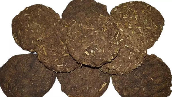  காய வச்ச சாணி உருண்டை!