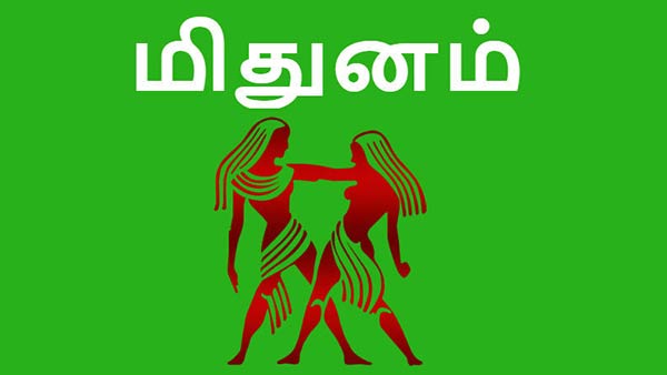 மிதுனம் மிதுனம்