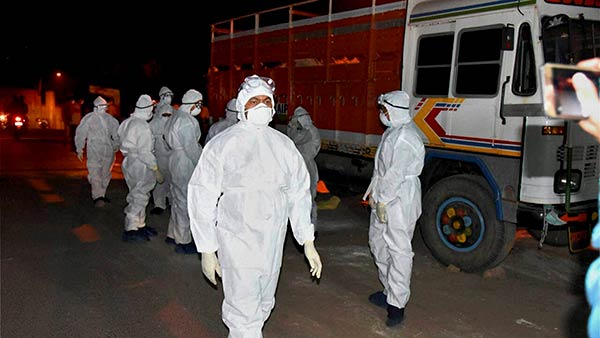 பறவை காய்ச்சல் பீதி 