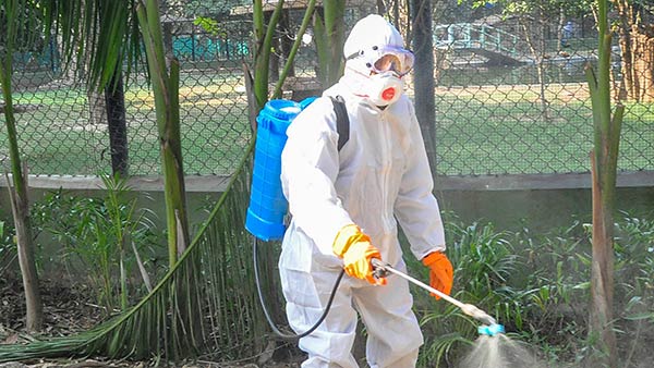 625 பறவைகள் இறப்பு 