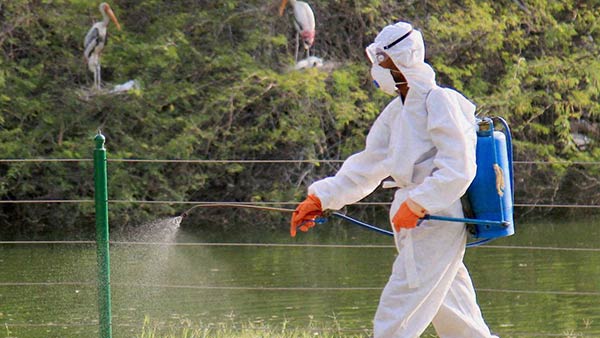 வீடு,வீடாக பரிசோதனை 