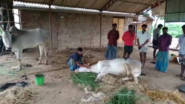 நடக்க முடியவில்லை 