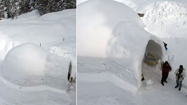 Indias First Igloo Cafe Opens In Kashmir And Twitter Is Loving It 