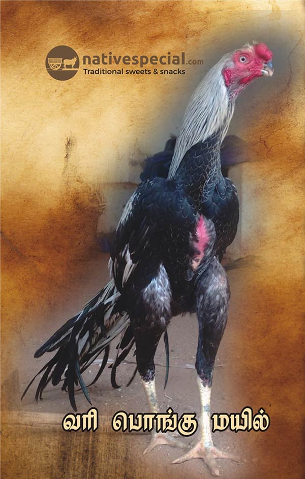 Celebrate Pongal with Native Specials Pongal Combo