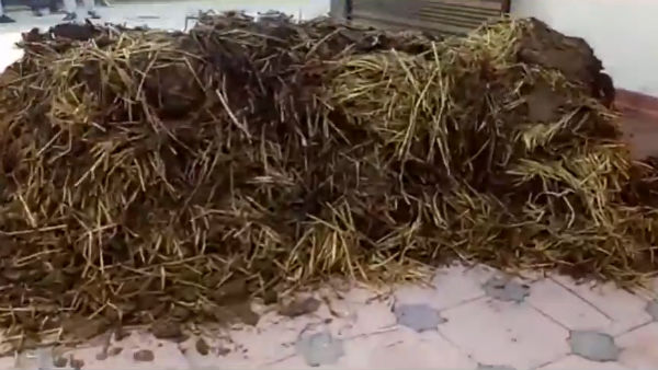  Cow dung dumped outside Punjab BJP leader Tikshan Soods residence 