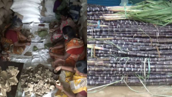  Distribution of TN Pongal gift to begin tomorrow