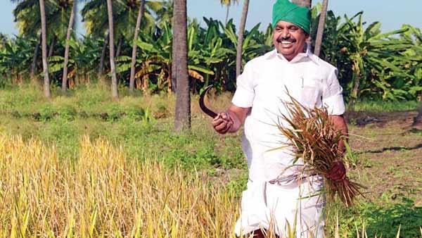 தேர்தல் அறிக்கையில் அதிரடிகள் தேர்தல் அறிக்கையில் அதிரடிகள்