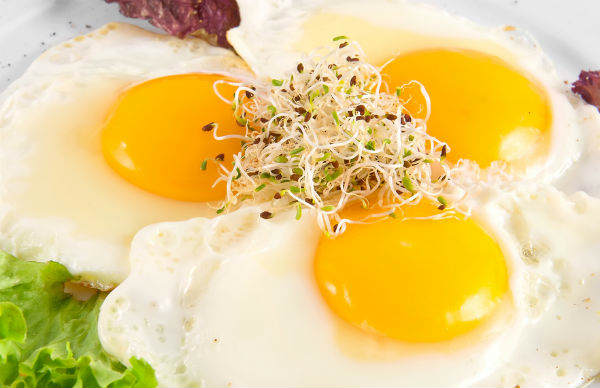  ஒன்சைடு ஆம்லெட் வேண்டாம் 