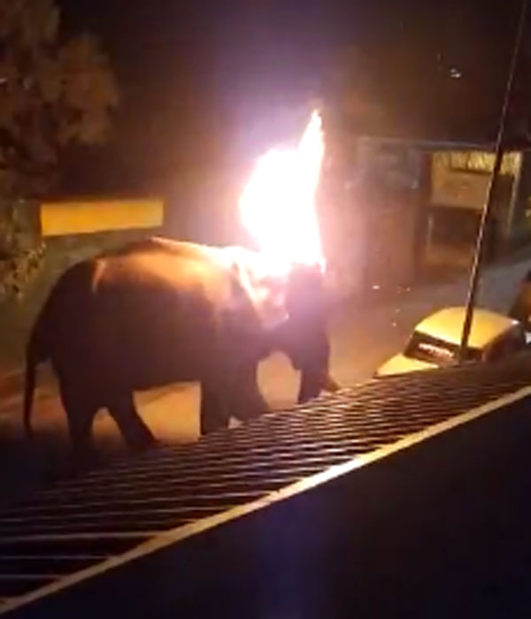  விசாரணை