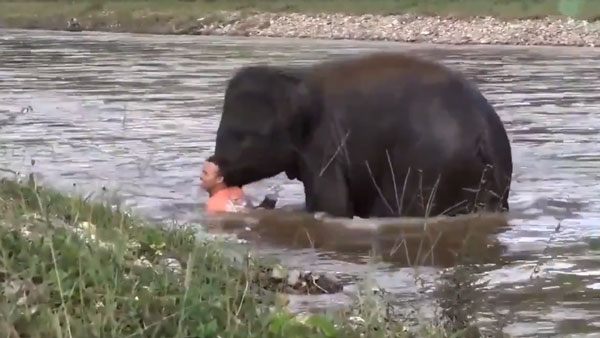 செங்குத்தான பாதை 