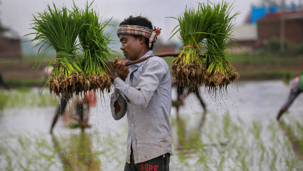 வியாபாரிகள் வியாபாரிகள்