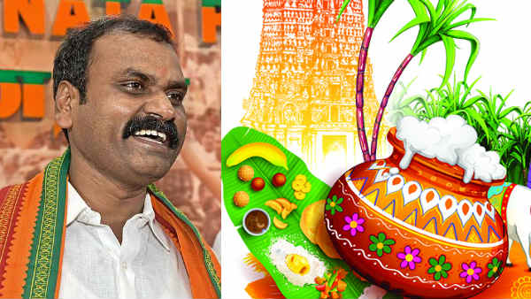 Namma ooru Pongal celebrate on behalf of the Tamil Nadu BJP Namma ooru Pongal celebrate on behalf of the Tamil Nadu BJP