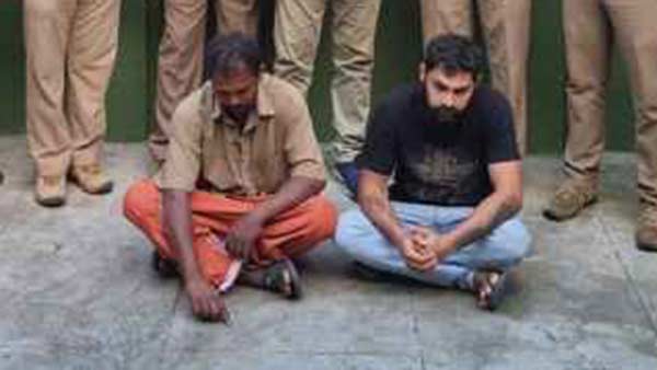 யானை பலியான சம்பவத்தில் இருவர் கைது 