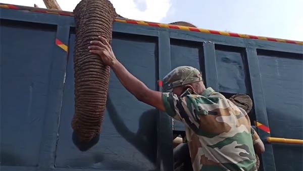 பெட்ரோல் - ஆசிட் 