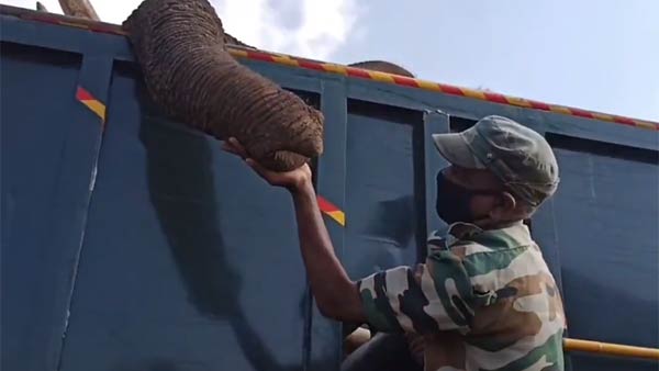 மயக்க ஊசி