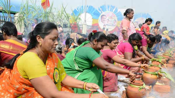 இயற்கைக்குப் படையல் 