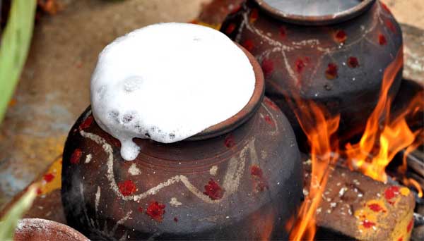 புத்தரிசியில் பொங்கல் 