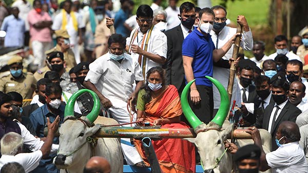 சமையல் நிகழ்ச்சி 