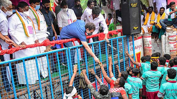 ஜல்லிக்கட்டு பார்த்த ராகுல் காந்தி 