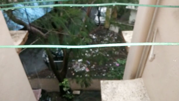 Chennai gets moderate rainfall and fog