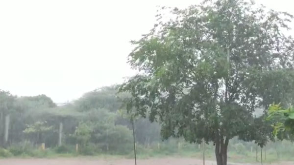 Chennai gets moderate rainfall and fog