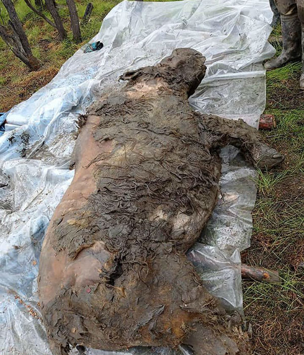 காரணம் கூட தெரிஞ்சு போச்சி 