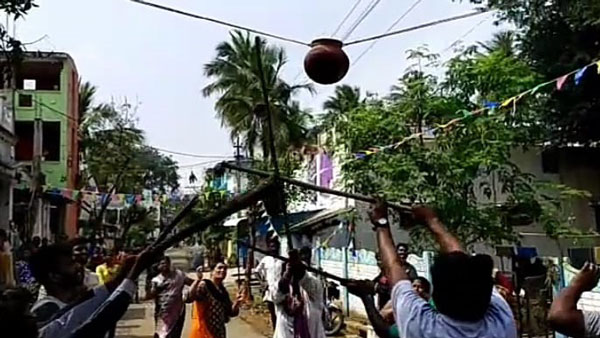 Samathuva Pongal celebrated in Trichy 