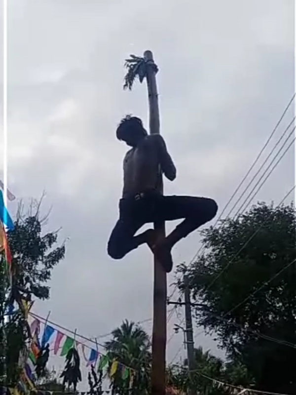 Samathuva Pongal celebrated in Trichy 