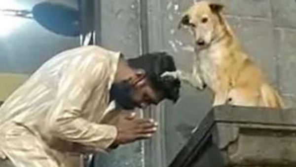 கொண்டாடும் நெட்டிசன்கள் 