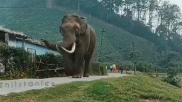 வழக்கு வழக்கு