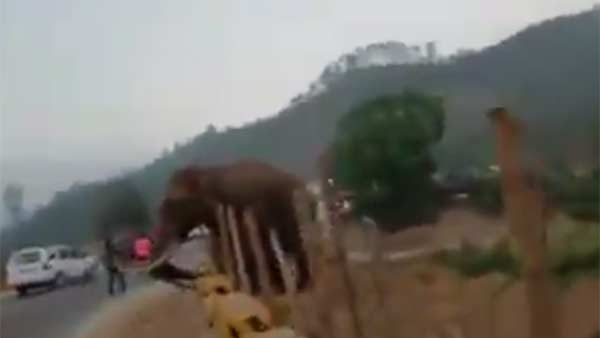 மீண்டும் படையப்பா 