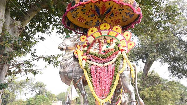 முருகன் கோவில்களில் திருவிழா முருகன் கோவில்களில் திருவிழா