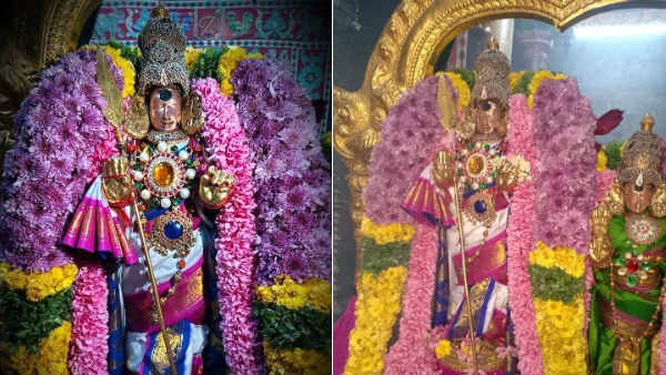 திருவண்ணாமலை, நெல்லை 