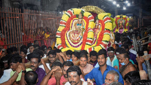Thiruvannamalai Thiruvodal Festival: Annamalaiyar who gave darshan to Nandi - a view to the sun Thiruvannamalai Thiruvodal Festival: Annamalaiyar who gave darshan to Nandi - a view to the sun