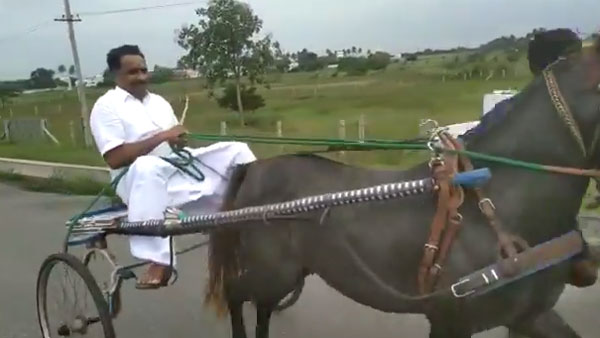 Minister MR Vijayabaskar drove the chariot in karur 