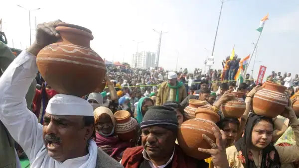 அரிசி அரிசி