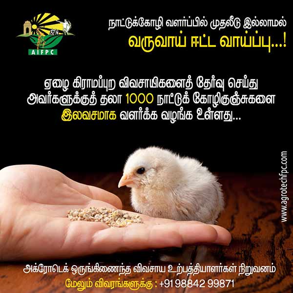  Agrotech invites investors to participate in Country chicken farming scheme