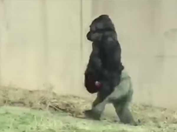 உயிரிழப்பு