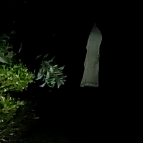 விஞ்ஞானம் 