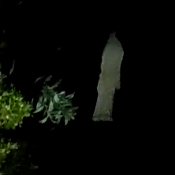 பிராங்க் வீடியோ? 